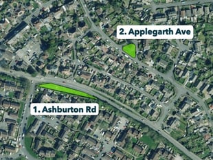 Plans to transform verges into wildflower havens