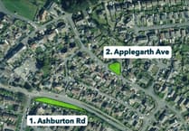 Newton Abbot's wildflower verge transformation plan