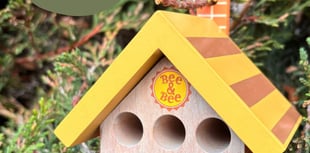 Wooden Bee House shortlisted in Gift Awards