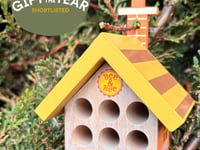 Wooden Bee House shortlisted in Gift Awards