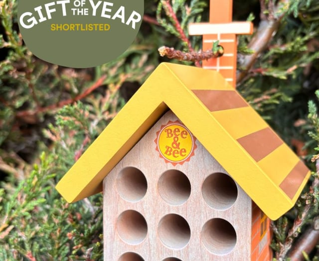 Wooden Bee House shortlisted in Gift Awards
