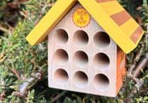 Wooden Bee House shortlisted in Gift Awards