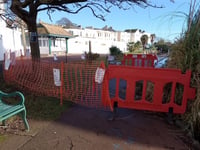 Black Swans of Dawlish breeding again