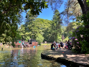 River Dart Country Park celebrating 50th anniversary