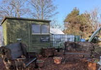 Join the Exminster garden celebration tomorrow!