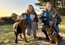 New competition urges dog owners to ‘Bag It and Bin It’