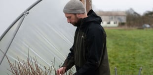 Sowing the seeds of a greener Newton Abbot