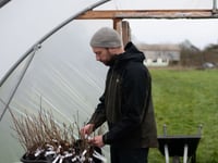 Sowing the seeds of a greener Newton Abbot