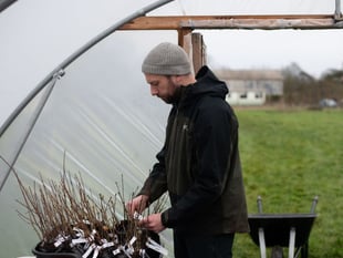 Sowing the seeds of a greener Newton Abbot