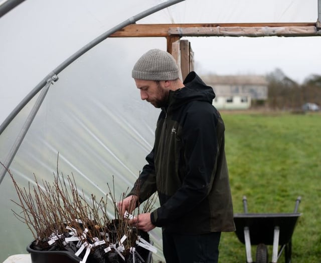 Sowing the seeds of a greener Newton Abbot