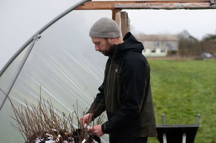Devon Wildlife Trust will be giving out free trees at the Newton Abbot seed swap event.