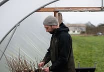 Sowing the seeds of a greener Newton Abbot