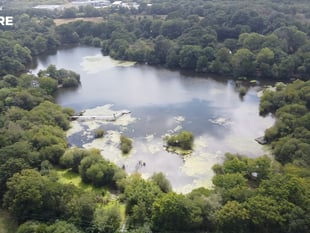 Campaigners fight to save trees in ‘exceptional’ woodland