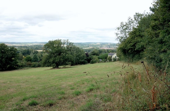 Land off Whitehill Road Highweek, image Daniel J Metcalfe/Teignbridge Council 