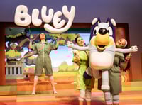 Don't be blue let's Wackadoo!