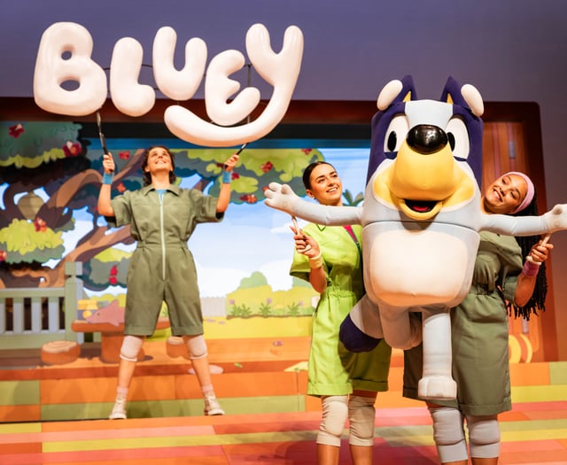 Don't be blue let's Wackadoo!