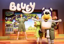 Don't be blue let's Wackadoo!