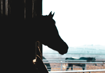 Newton Abbot young farmers turning manure into money