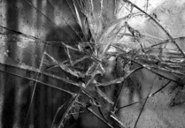 Number of hate crimes revealed