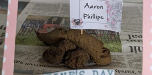 Love stinks, but it saves wildlife
