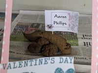 Love stinks, but it saves wildlife