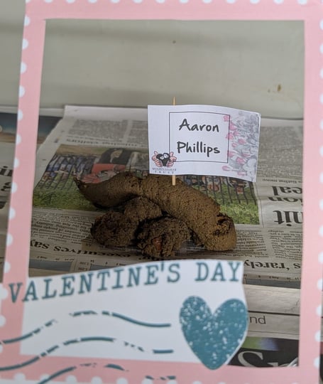 Shaldon Wildlife Trust is offering a very dirty Valentine's gift
