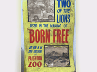 Rare cinema poster links hit film with Paignton project