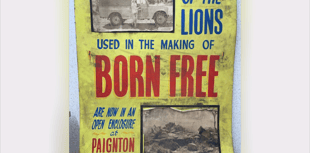 Rare cinema poster links hit film with Paignton project