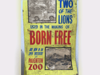 Rare cinema poster links hit film with Paignton project