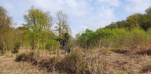 'End game' nears for Teignbridge planning dispute