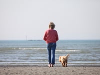 Dog licensing could return, RSPCA asks for views