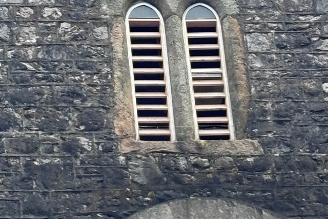 Swifts get boost with new nest boxes at St Leonard's