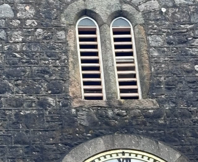 Swifts get boost with new nest boxes at St Leonard's
