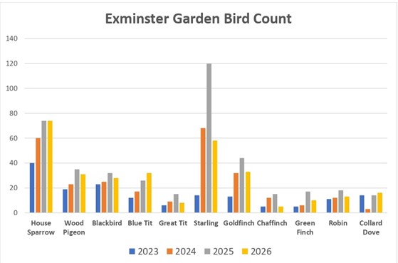 Bird count numbers down due to storms 