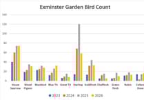 Bird count numbers down due to storms