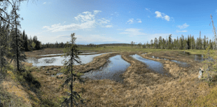 Devon-led study confirms Arctic peatlands are expanding