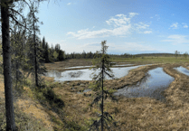 Devon-led study confirms Arctic peatlands are expanding