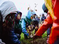 Charity urging landowners to collaborate for tree planting 