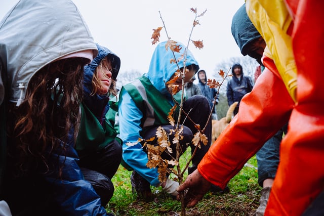 Charity urging landowners to collaborate for tree planting 