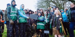 Arboreal charity reaches tree-mendous landmark