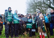 Arboreal charity reaches tree-mendous landmark