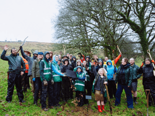 Volunteers drive woodland recovery efforts across Dartmoor