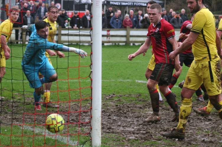 Ollie Aplin watches on as Owen Stockton's header finds the net
