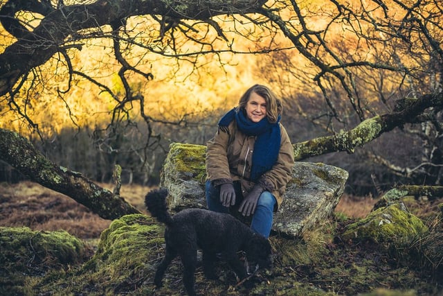 Dartmoor Tors Festival returns for 2026 