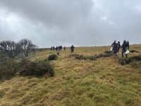 Charity celebrates diverse season of tree planting across Dartmoor