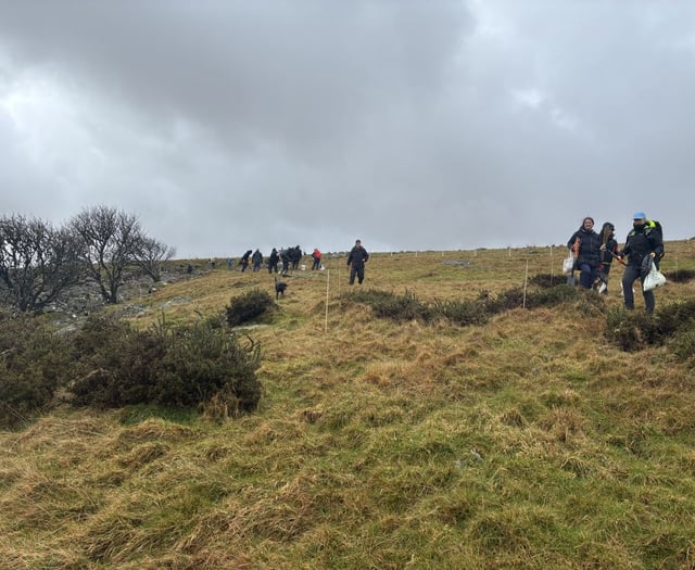 Charity celebrates diverse season of tree planting across Dartmoor