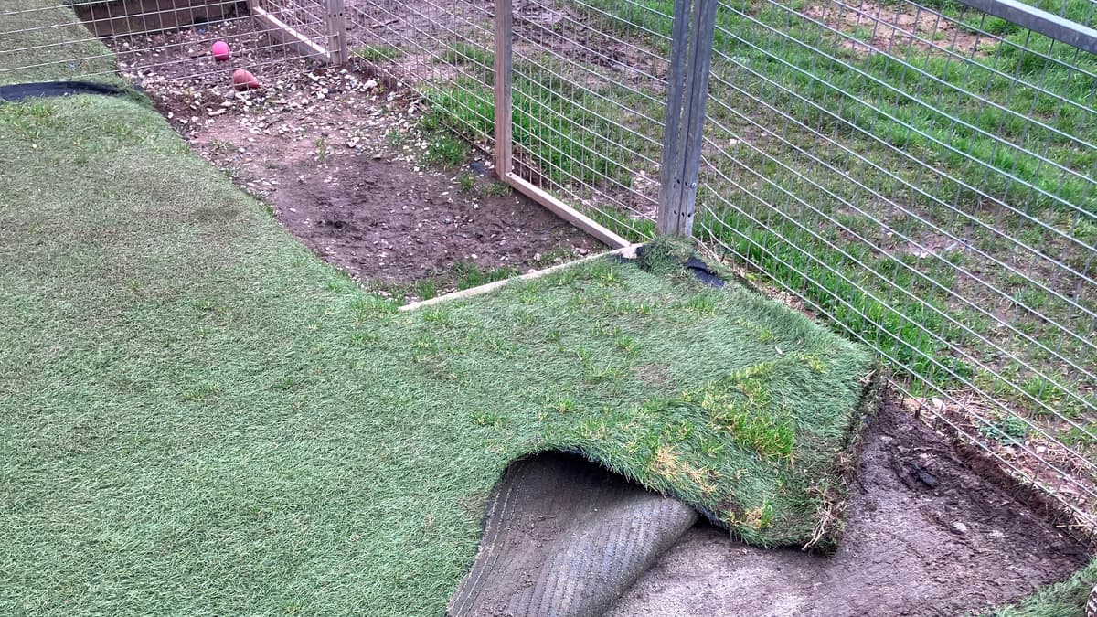 Kennels fundraiser to help stray dogs