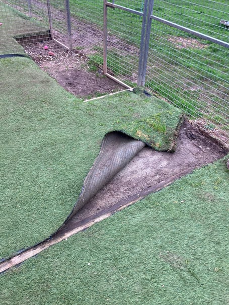 Foredowne Kennels fundraising appeal to renovate pens. Photo Foredown Kennels 