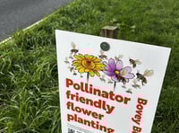 Roadside verges in Bovey Tracey set for an eco makeover.