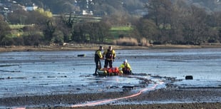 Dawlish coastguards train for mud rescues
